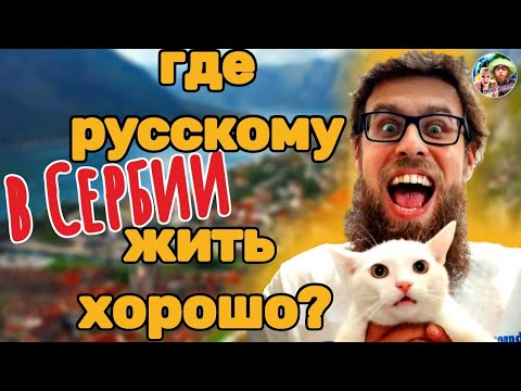 Видео: Где эмигранту в Сербии жить хорошо!