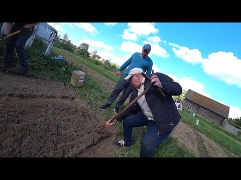 Видео: Первая посевная Джентльменов! Поход на сеновал! Вся правда про Фюрера!