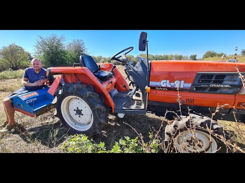 Видео: КУПИЛИ МУЛЬЧЕР НА МИНИТРАКТОР 🚜 СЕЕМ ЗЕЛЕНЬ 🌱 УБОРКА ПОМИДОРНОЙ ТЕПЛИЦЫ 🍅