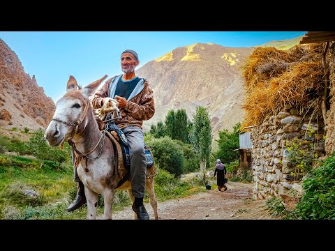 Видео: Великолепная Осень в Таджикистане | Простая Жизнь Людей в Горной Деревне