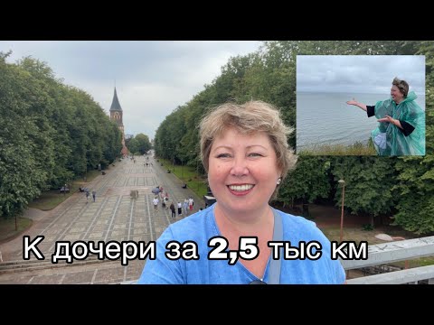 Видео: Пролетела 2,5 тыс. км, чтобы увидеть дочь. Не виделись год!