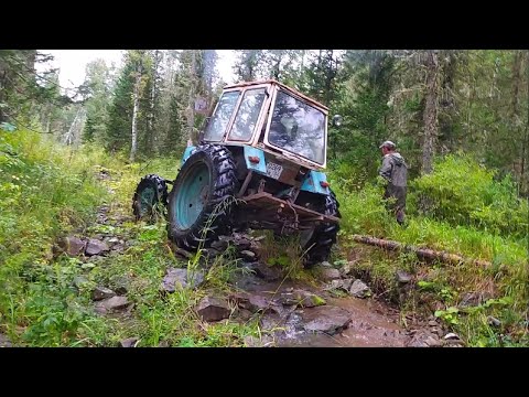 Видео: По ручью в гору на Т-40АМ с кабиной ЮМЗ