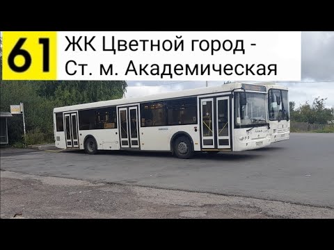 Видео: Автобус 61. ЖК "Цветной город" - Ст. м. Академическая