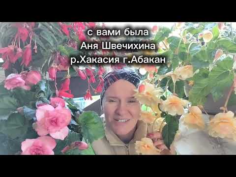 Видео: Моя МЕЧТА сбылась у меня есть ОРАНЖЕРЕЯ! Что будет с бегониями зимой? Советы и опыт Ани