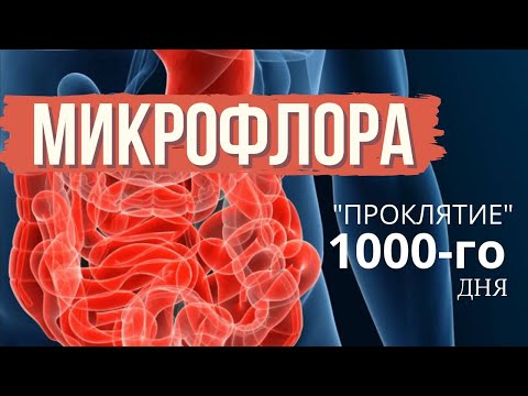 Видео: Восстановление микрофлоры: проклятие 1000-го дня!