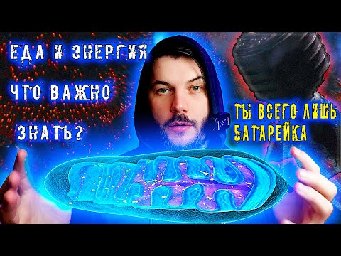 Видео: Дефицит или профицит калорий для набора мышечной массы: настоящая правда