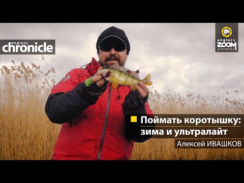 Видео: Поймать коротышку: зима и ультралайт. Алексей Ивашков. Anglers Chronicle