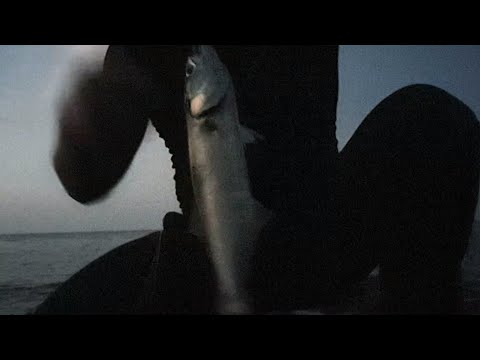 Видео: Риболов на лефер - 30.08.21