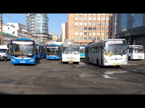 Видео: Автобусы Владивостока