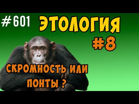 Видео: Скромность или Понты ? Вредна ли скромность ?
