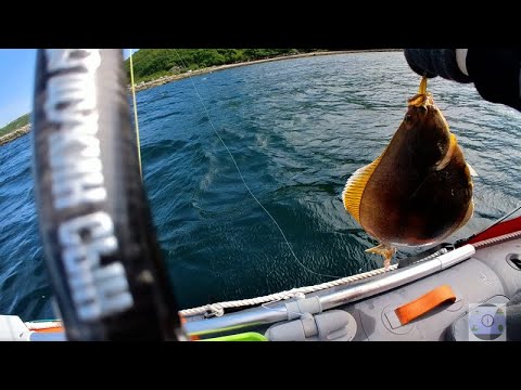 Видео: Магадан обкатка мотора Гладиатор 9 9  Рыбалка  и покатушки часть 2