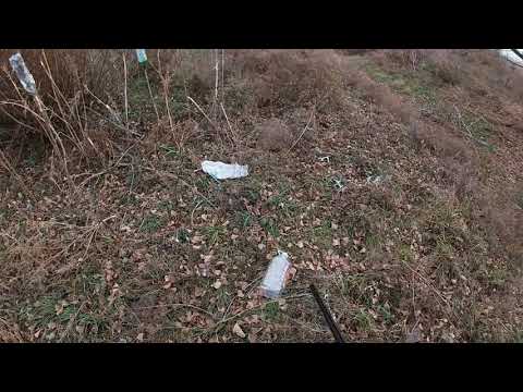 Видео: #Охота на зайца. Найти за 35 минут