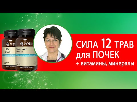 Видео: КАК восстановить ПОЧКИ? Противовоспалительные травы для почек. Юрай NSP/ Ury. Особенности. Часть 1