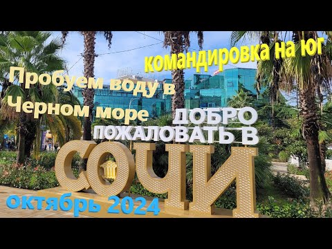 Видео: 239. Сочи в конце октября 2024. Командировка на юг. Температура воды в Черном море. Парк Ривьера.