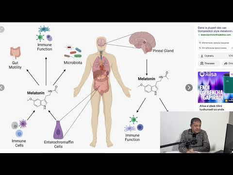 Видео: Бахт гормони СЕРАТОНИН хакида батафсил , синтези , качон камайиб кетади , депрессияга ахамияти 