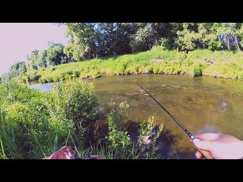 Видео: Голавлиная быстрая речка! Рыбалка на ультралайт! Norstream Provokator 612L