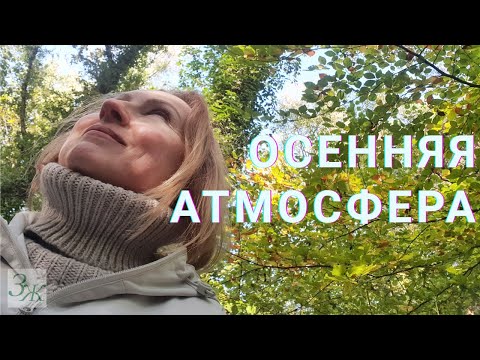 Видео: 🍁 Осенняя атмосфера, настроение, уют, тепло, вдохновение, красота осени. Наслаждайся осенью!