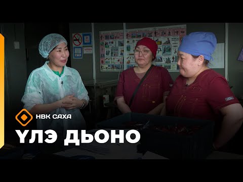 Видео: «Үлэ дьоно»   (10.10.25)