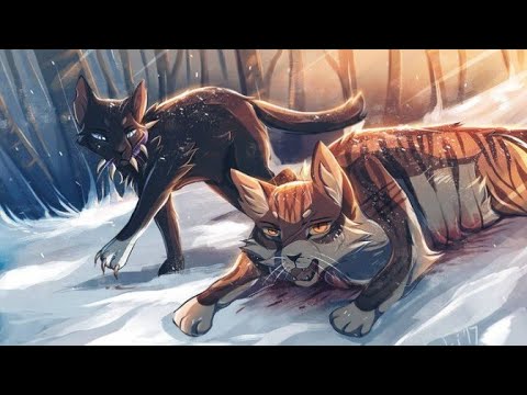 Видео: °Коты Воители° Клип //Моя игра//