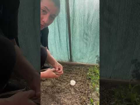 Видео: 10 сентября 2025 г.