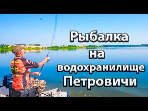 Видео: Рыбалка на Петровическом водохранилище. Ловля плотвы фидером. Тэмпавая рыбалка фидером.