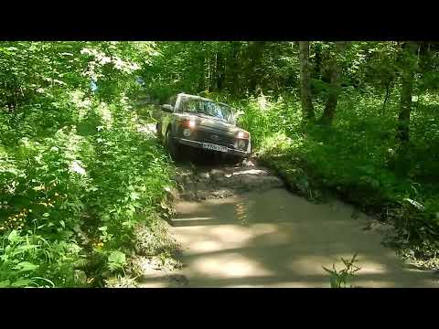 Видео: Верейские дебри! Отличные покатушки рядом со старинным городом.