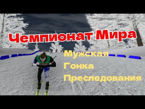 Видео: Биатлон. Чемпионат Мира. Мужской Пасьют. NGL Biathlon