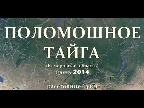 Видео: Поломошное - Тайга