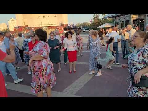 Видео: Белый черёмухи цвет...17.08.24...