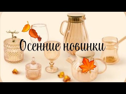 Видео: 🍁ФИКСПРАЙС ОСЕНЬ 2024🍂  НОВИНКИ ПРОСТО ПУШКА🔥 КУПИЛА 6 ШТУК #фикспрайс  #falldecor2024  #fixprice