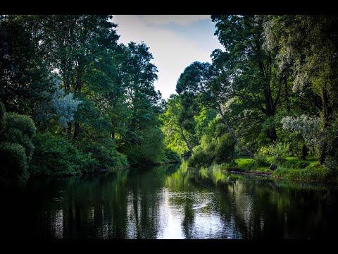 Видео: Ставрополь. Завывание ВОЛКОВ у края Ставропольской горы. "Волчьи ворота." И тишина у пруда ЕЛАГИНА.