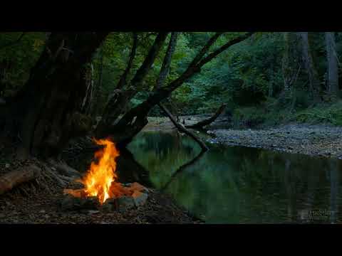 Видео: Жуткие истории Dawg'a и его друзей