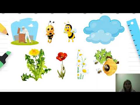 Видео: 3 до 4, 4 до 6 години - Уметност - ликовно и музичко воспитание - Зузу и зази - Печатење со цвеќе
