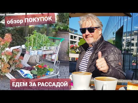 Видео: ПРАГА. ОБЕД И ПОКУПКИ В САД. ЖИЗНЬ В ЧЕХИИ. ВЛОГ  ЭЛЕН ЗАМУЖ ЗА ЧЕХА.