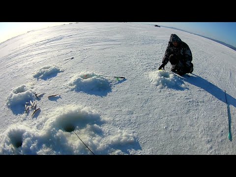 Видео: Рыбалка посёлок Лазарев.