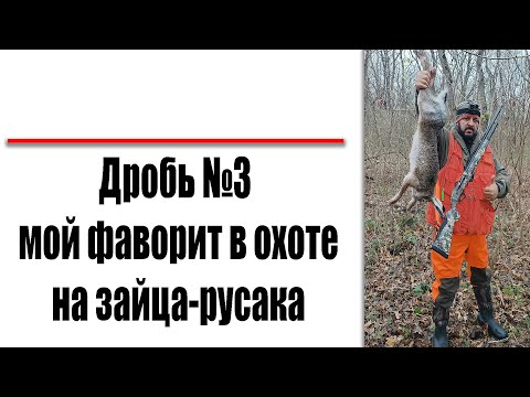 Видео: 🔴ОХОТА НА ЗАЙЦА В АДЫГЕЕ/ПАТРОН САМОКРУТ ДРОБЬ №3 (САМОЛЕЙКА)