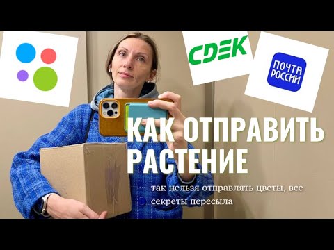 Видео: Как упаковать растение, чтобы отправить его Почтой, СДЭК, Яндекс