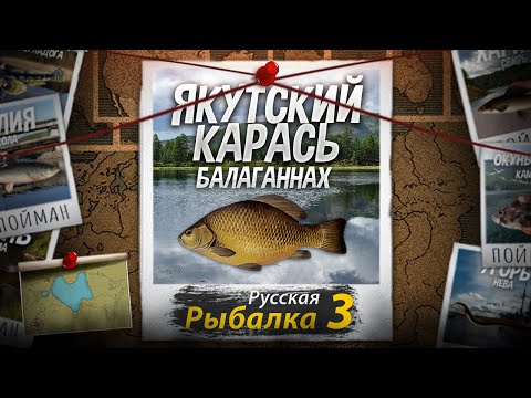 Видео: "Мутант" Якутский Карась. Русская Рыбалка 3.