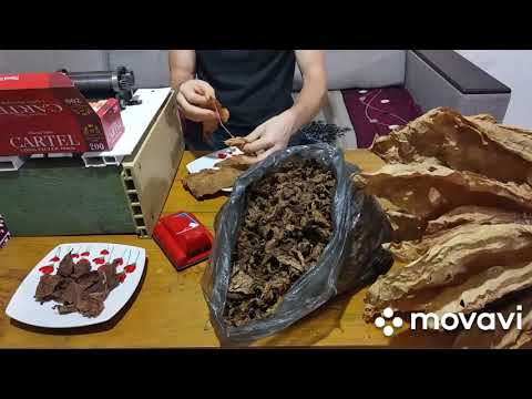Видео: Табак Гавана 1 год вылежки.