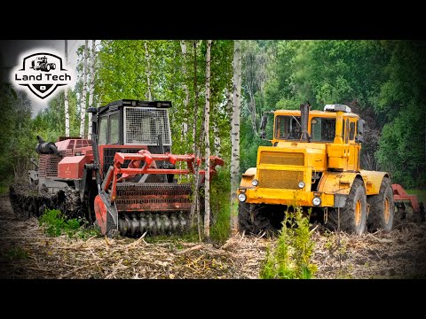 Видео: Расчищаем заброшенные земли в лесах Сибири! Тяжелая техника в условиях бездорожья!