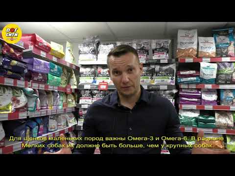 Видео: Витамины для щенков мелких пород