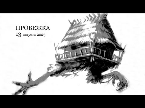 Видео: 13 августа 2025 г.