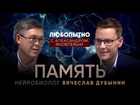 Видео: Человеческая память. Как она устроена? Как тренировать память? – Вячеслав Дубынин