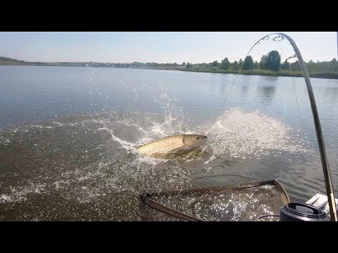 Видео: ЛОВЛЯ КАРПА ОСЕНЬЮ РЫБАЛКА  на КАРПА\КАРАСЯ