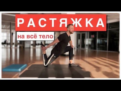 Видео: РАСТЯЖКА на ВСЕ ТЕЛО дома для НАЧИНАЮЩИХ