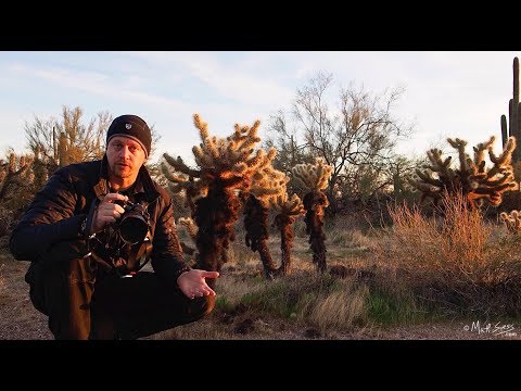 Видео: Съемка с высоким разрешением с рук на Olympus OM-D E-M1 Mark III