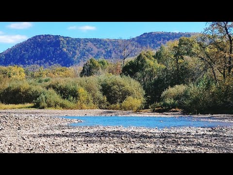 Видео: Хариус,Ленок.Рыбалка на реке Арсеньевка.