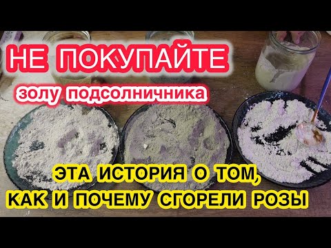 Видео: Это ШИЛО только НАВРЕДИЛО! Купили золу-проверьте водой перед использованием, иначе можно всё сжечь!