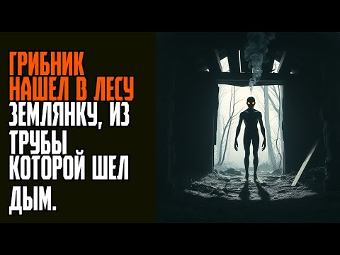 Видео: ГРИБНИК НАШЕЛ В ЛЕСУ ЗЕМЛЯНКУ, ИЗ ТРУБЫ КОТОРОЙ ШЕЛ ДЫМ