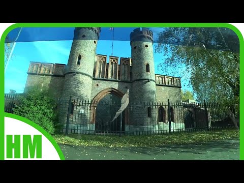 Видео: Экскурсия на авто по Калининграду. Ильгиз внимателен, а я рядом 😁